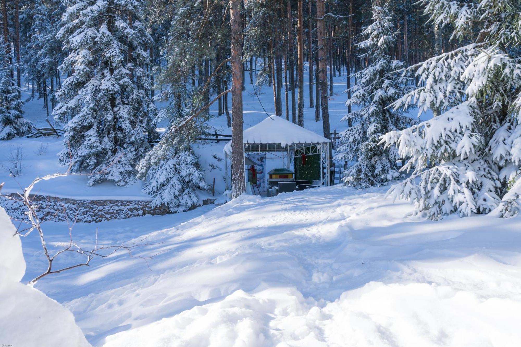 Daire Pogled Wellness I Divčibare