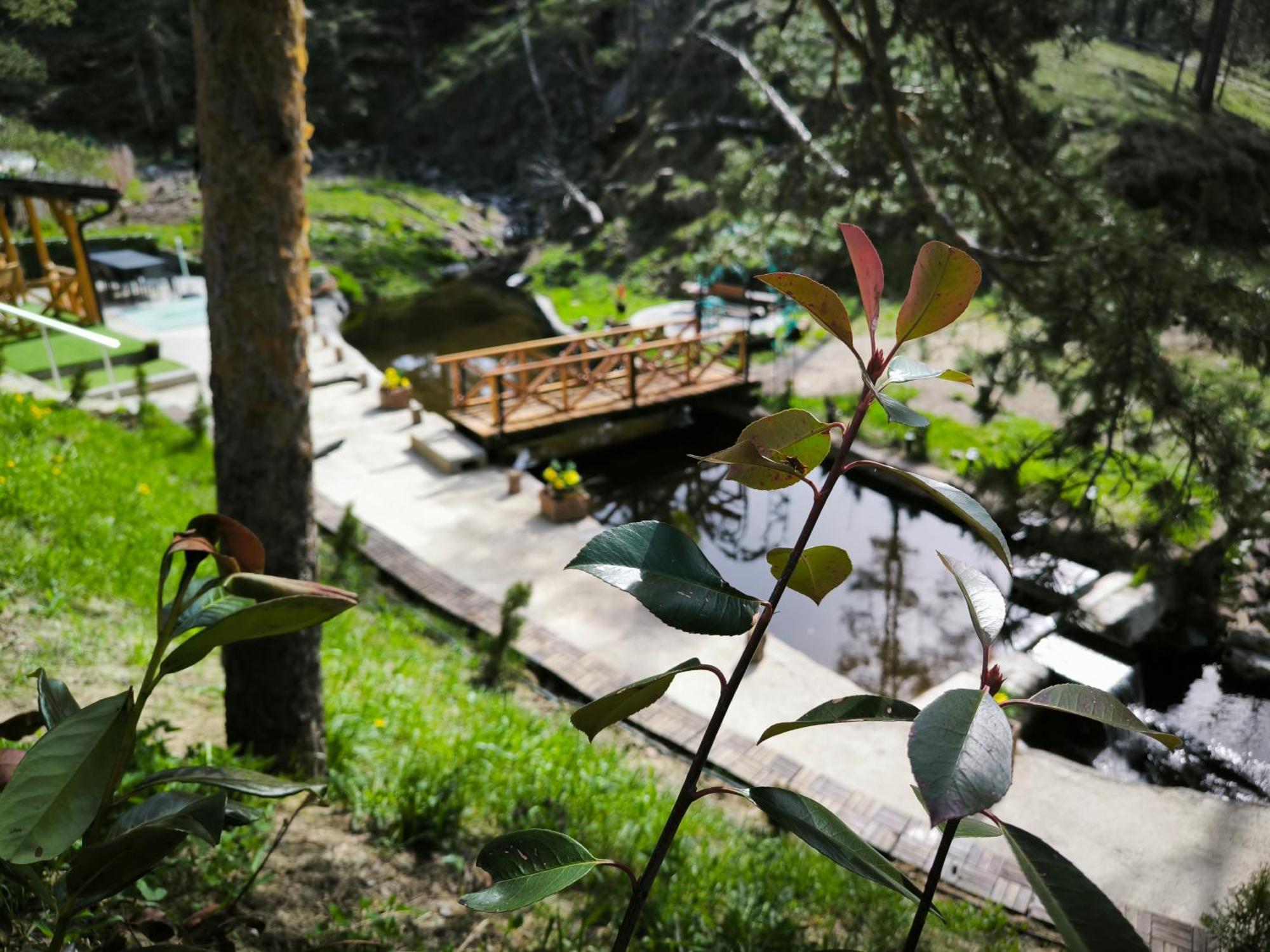 Pogled Wellness I Divčibare